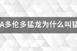 NBA多伦多猛龙为什么叫猛龙？
