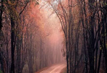 犹他爵士2025-26赛季阵容风暴:艾斯·贝利能否逆袭首发?