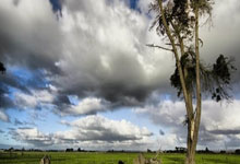 犹他爵士2025-26赛季阵容风暴：艾斯·贝利能否逆袭首发？