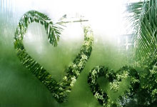 犹他爵士2025-26赛季阵容风暴：艾斯·贝利能否逆袭首发？