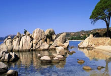 北京男篮球员曾凡博计划将与NBA球队布鲁克林篮网进行签约